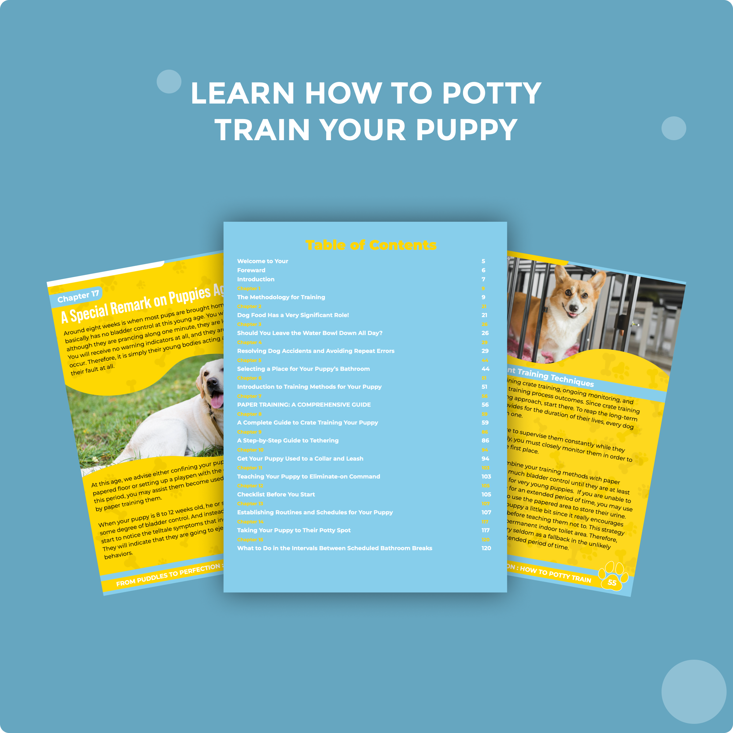 how to potty train a dog