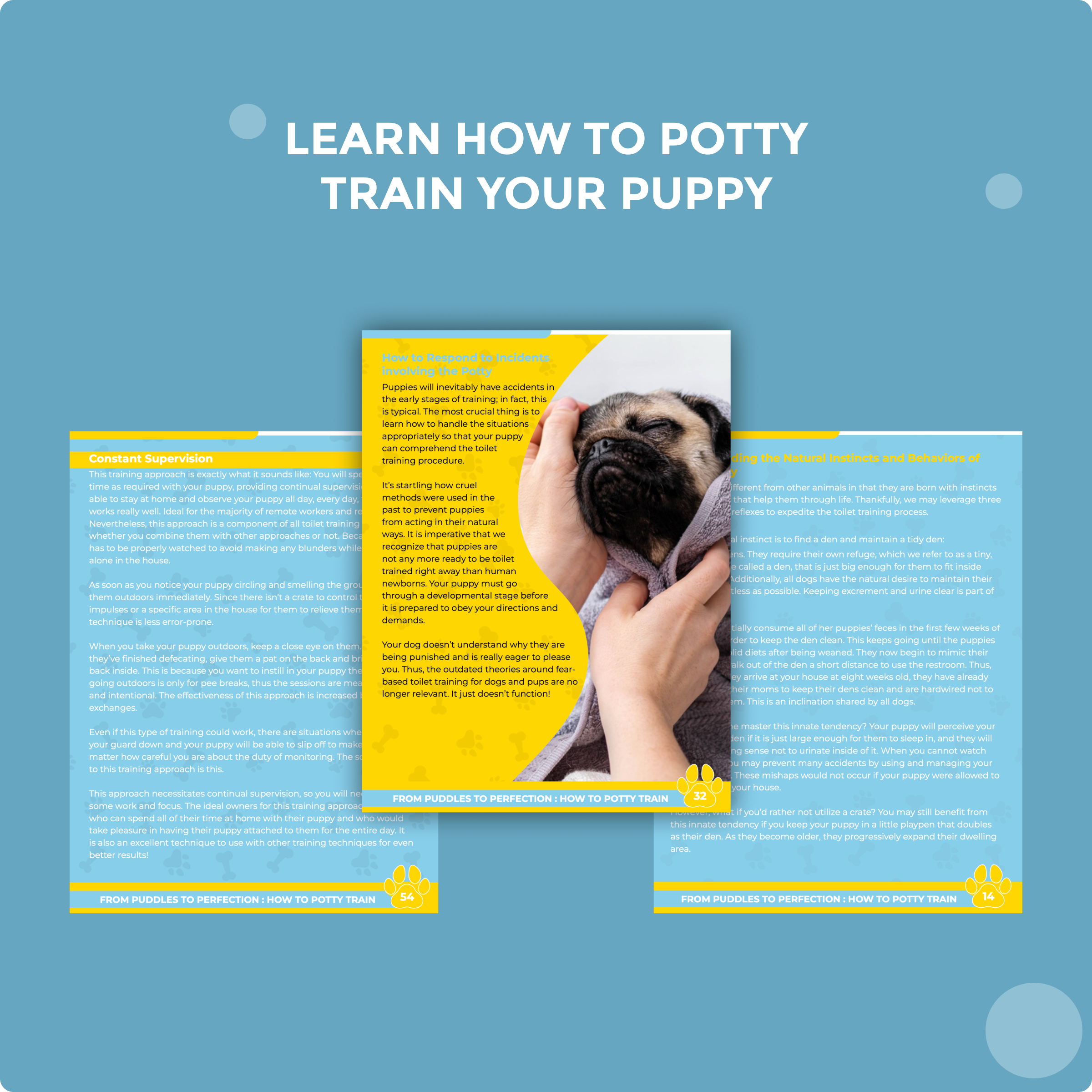 How to Toilet Train a Puppy